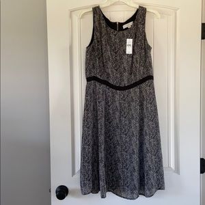 LOFT dress